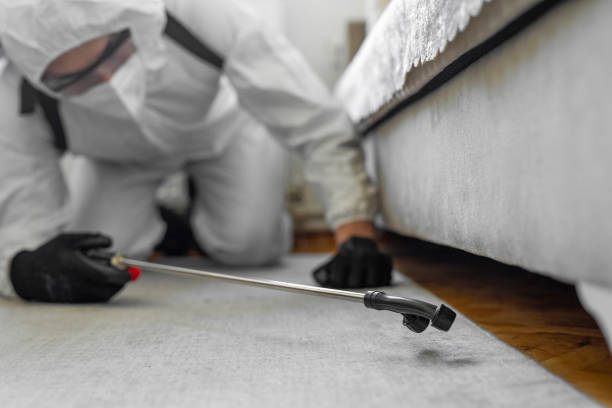 Professional Termite Control technician working in Olton, TX