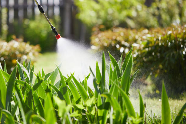 24/7 Emergency Termite Control experts in Olton, TX